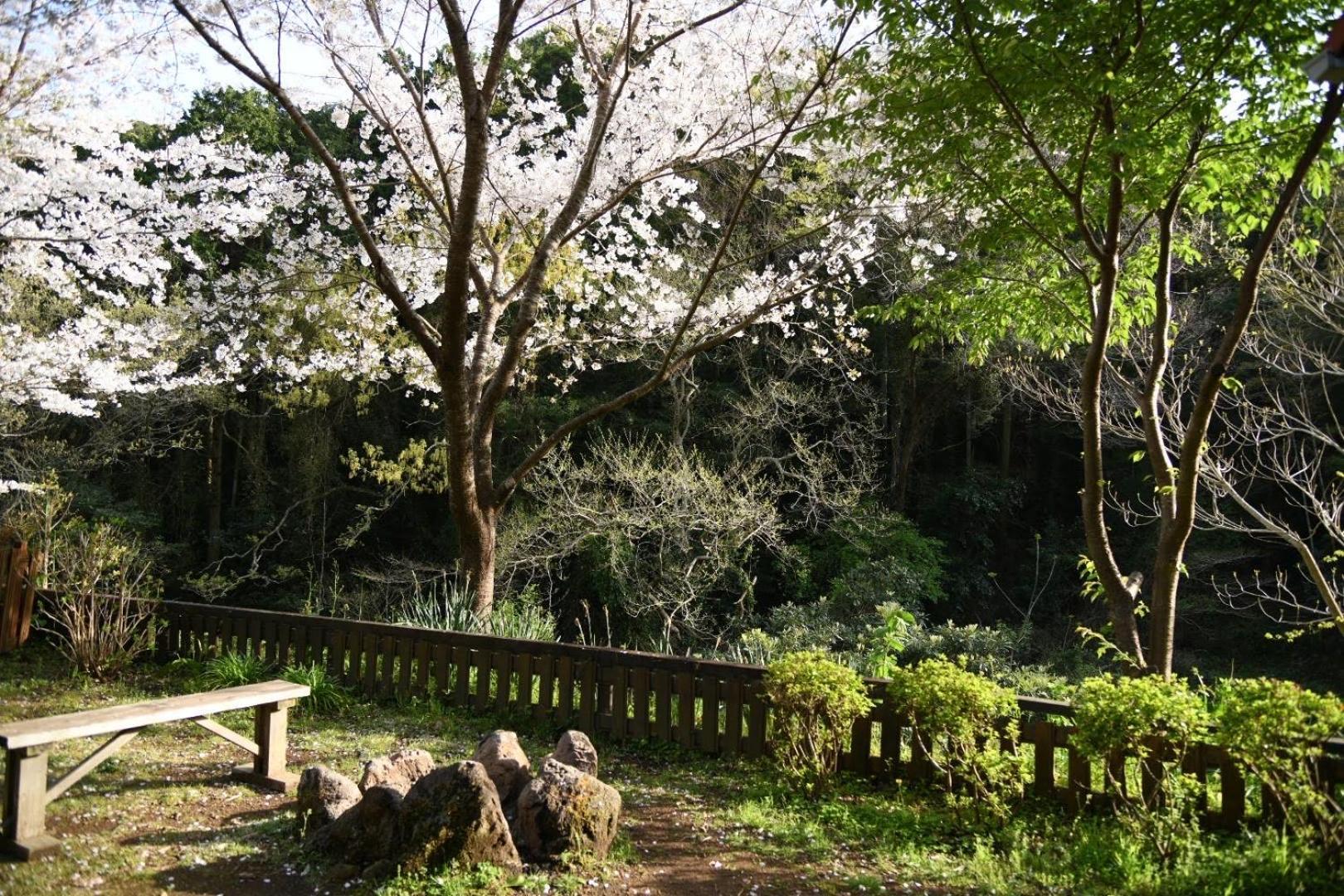 Sunny Side Cottage Shimoda  Eksteriør billede